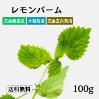 レモンバームの商品画像