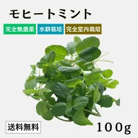 モヒートミントの商品画像