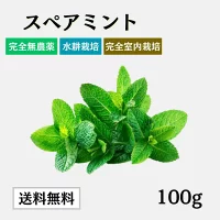 スペアミントの商品画像